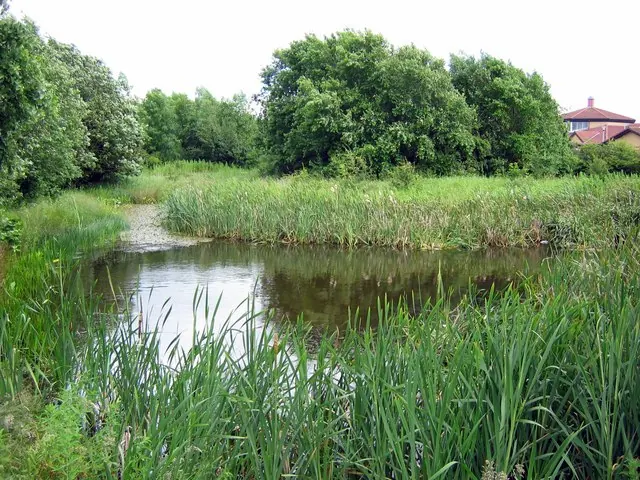 Barwick Pond Local Nature Reserve, Ingleby Barwick